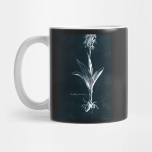 Cyanotype - Orchis Militaris - C Mug